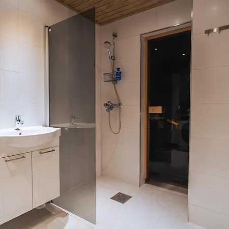 Daire Arctic Loft