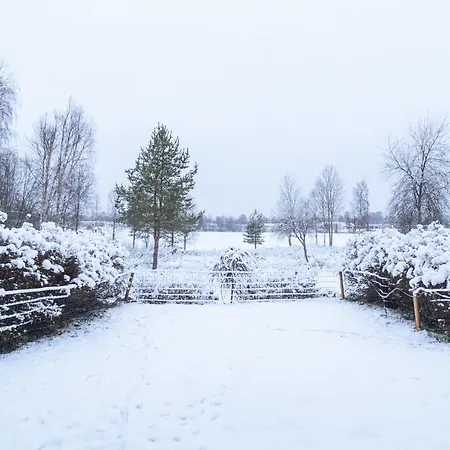 Apartament Arctic Loft Rovaniemi